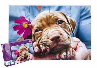 Fotopuzzle 12 XXL-Teile